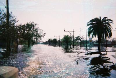 Carrollton Ave